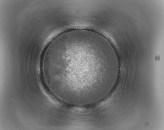 X0000091950582200709061242