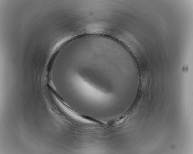 X0000091950583200709061242