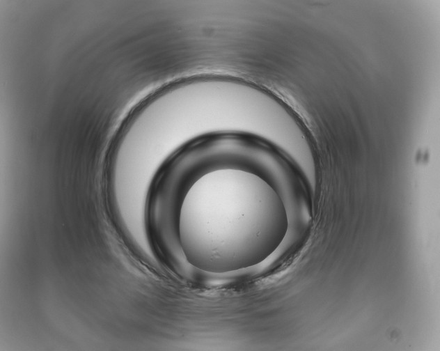 X0000091950584200709061242
