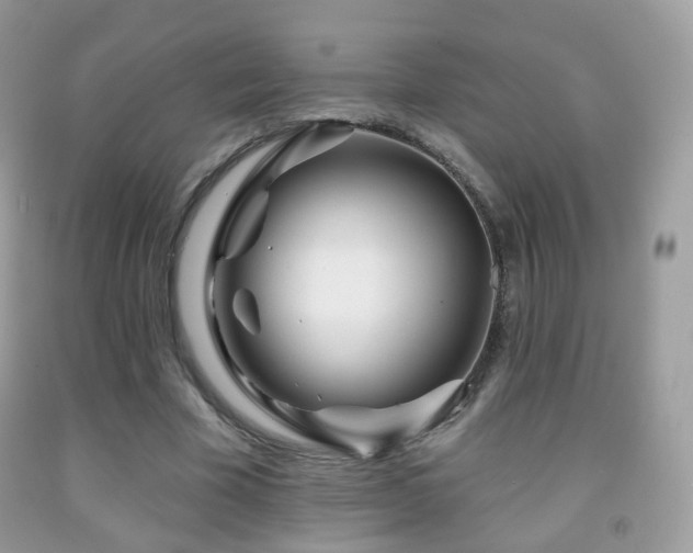 X0000091950585200709061242