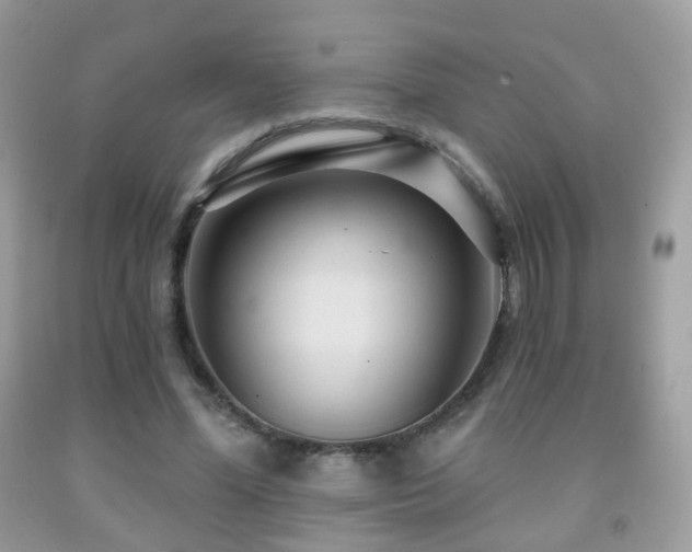 X0000091950588200709061242