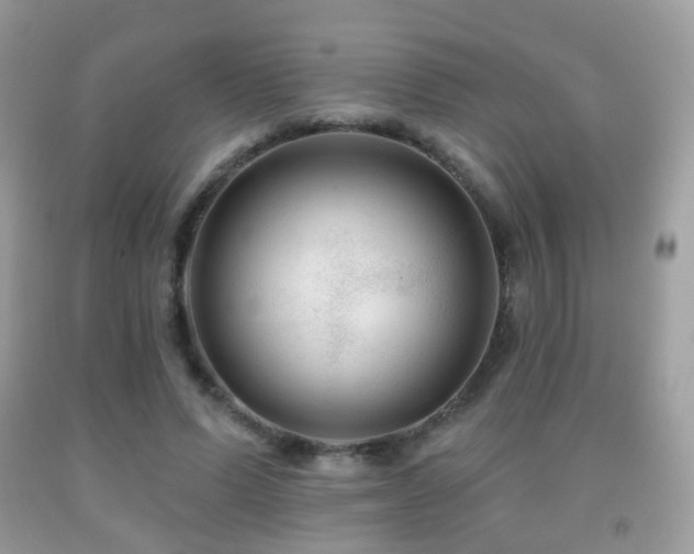 X0000091950591200709061242
