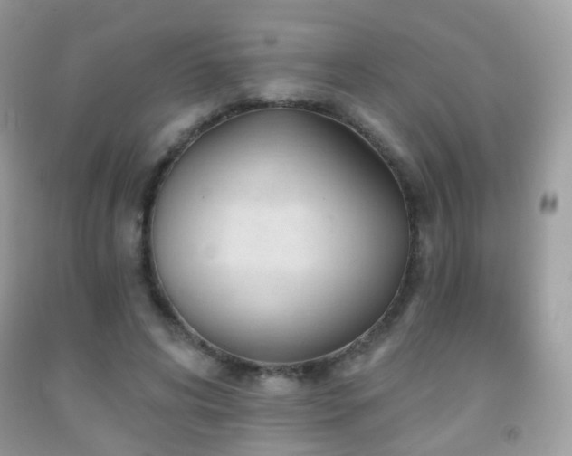 X0000091950592200709061242