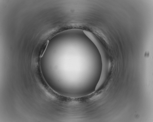 X0000091950593200709061242