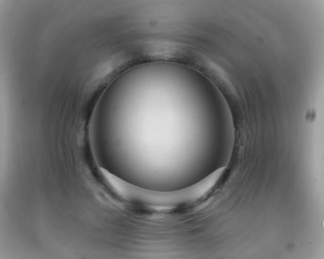 X0000091950596200709061242