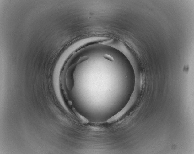 X0000091950597200709061242