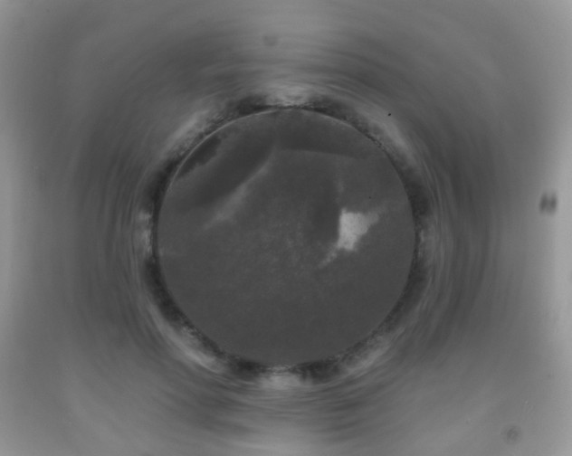 X0000091950598200709061242