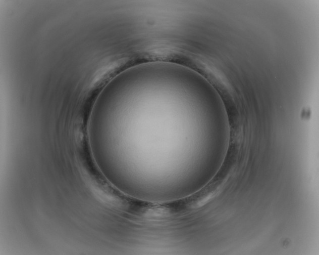 X0000091950599200709061242