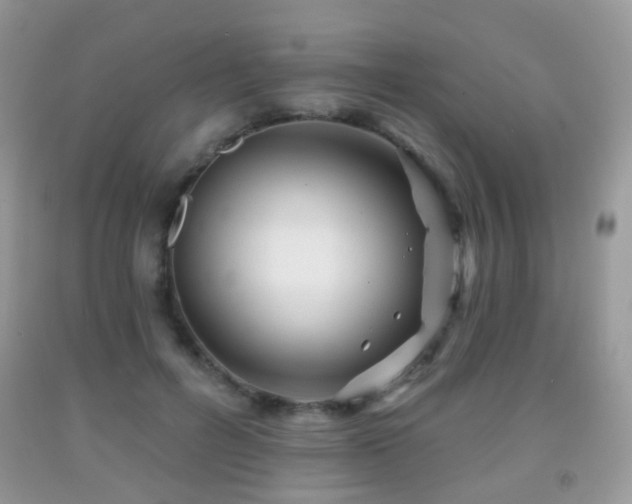 X0000091950600200709061242
