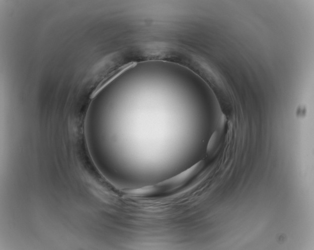 X0000091950601200709061242