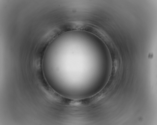 X0000091950602200709061242