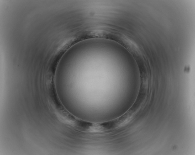 X0000091950603200709061242
