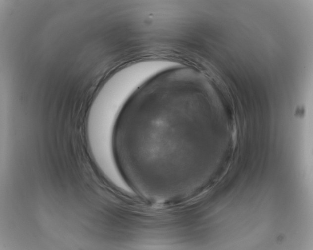 X0000091950604200709061242