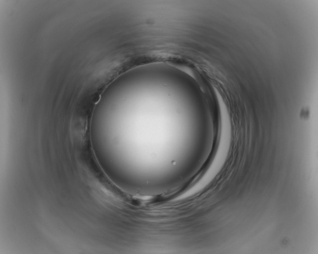 X0000091950605200709061242