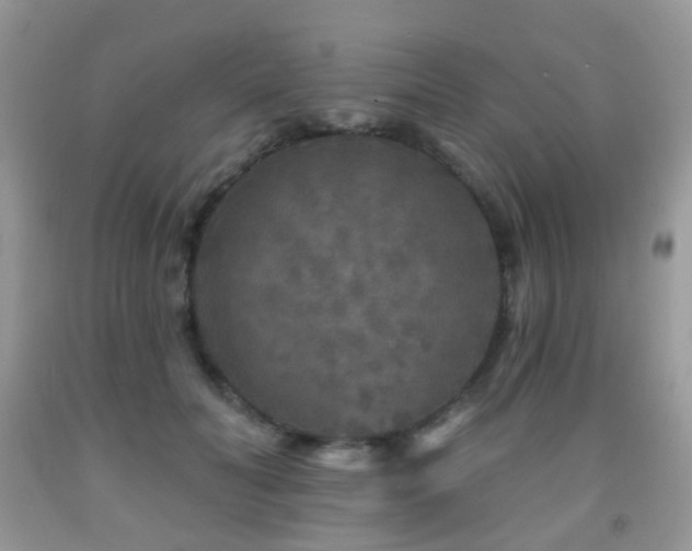 X0000091950606200709061242