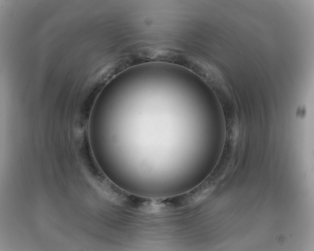 X0000091950607200709061242