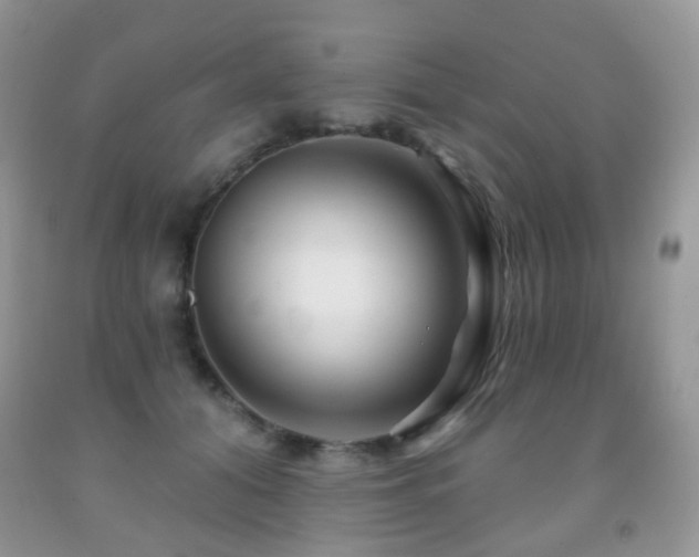X0000091950608200709061242