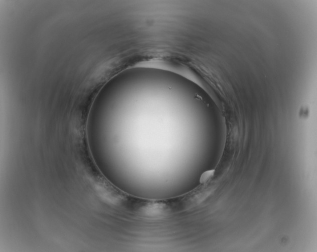 X0000091950609200709061242