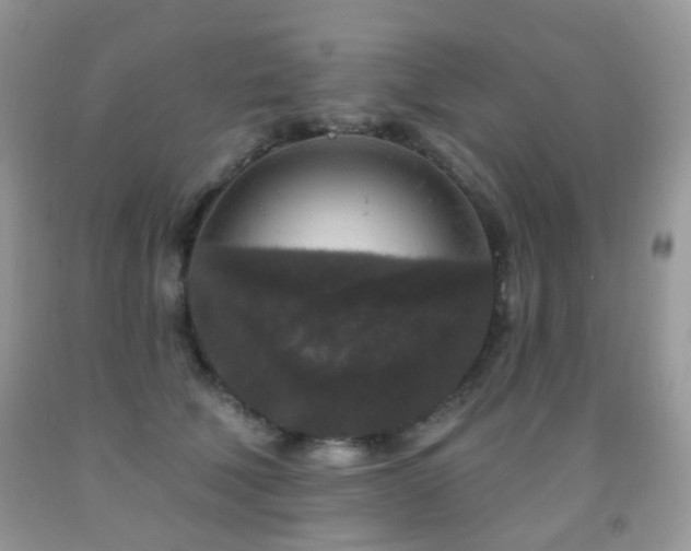 X0000091950610200709061242