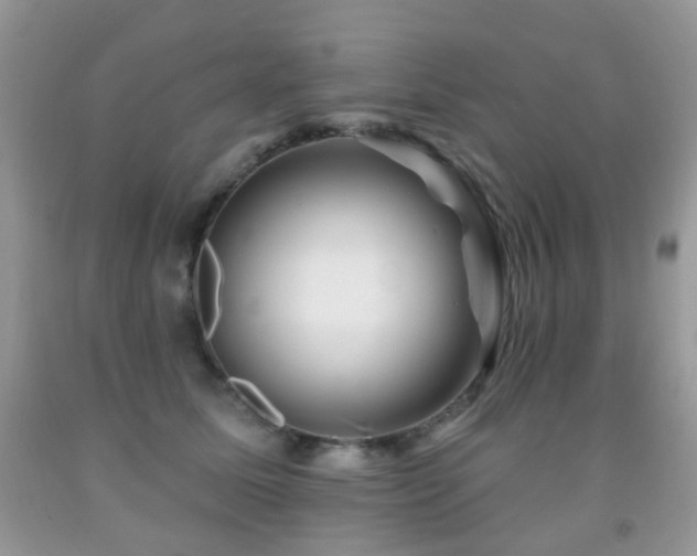 X0000091950611200709061242