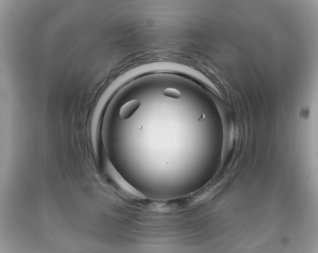 X0000091950613200709061242