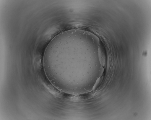 X0000091950615200709061242