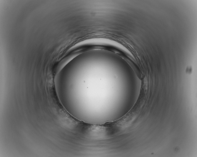 X0000091950617200709061242