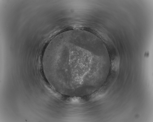 X0000091950618200709061242