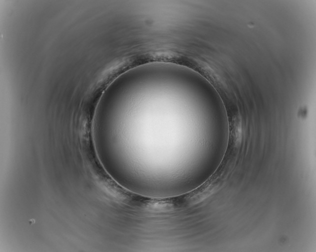 X0000091950619200709061242