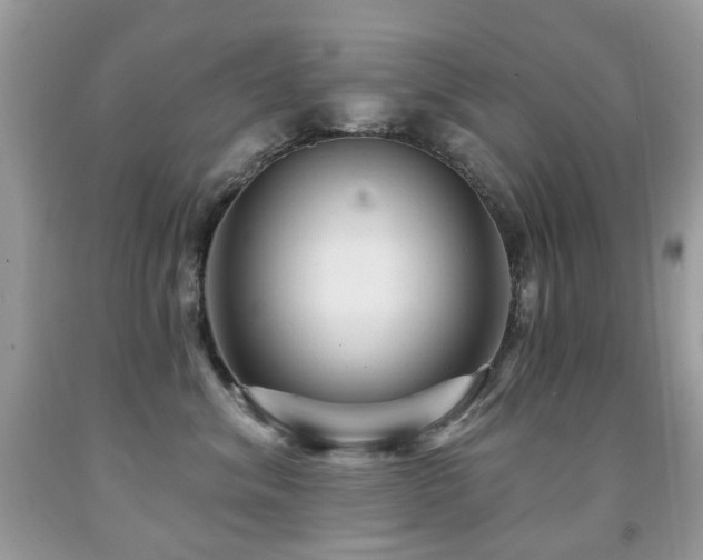 X0000091950620200709061242