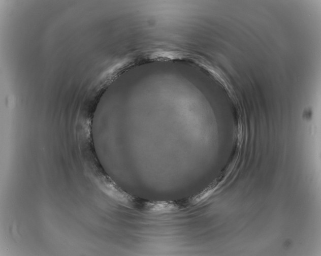 X0000091950621200709061242