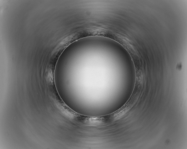 X0000091950622200709061241