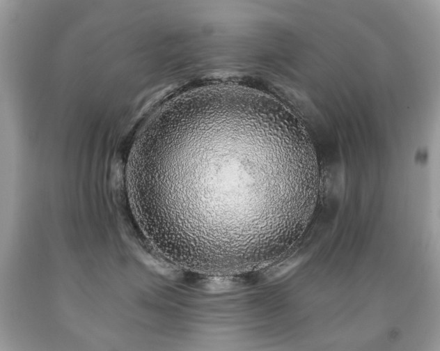 X0000091950623200709061241