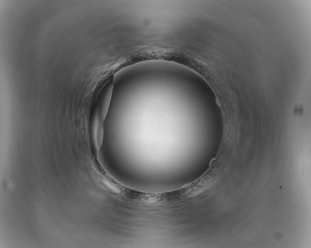 X0000091950624200709061241