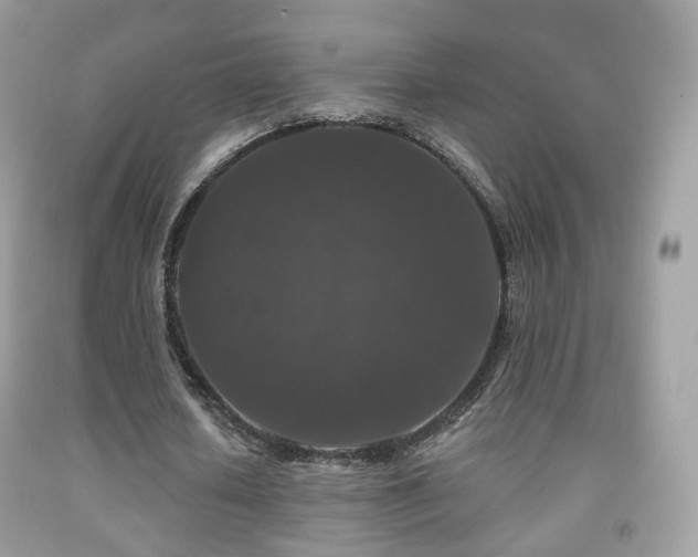 X0000091950626200709061241