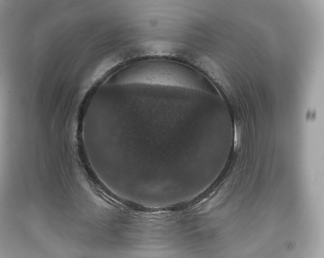 X0000091950627200709061241