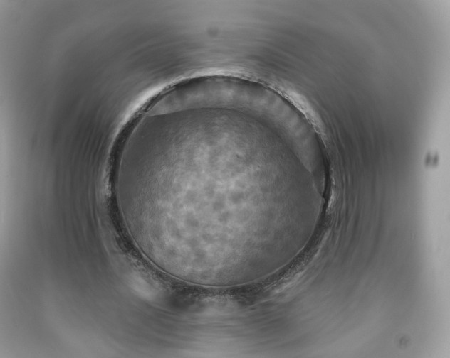 X0000091950628200709061241