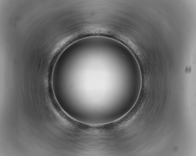 X0000091950629200709061241
