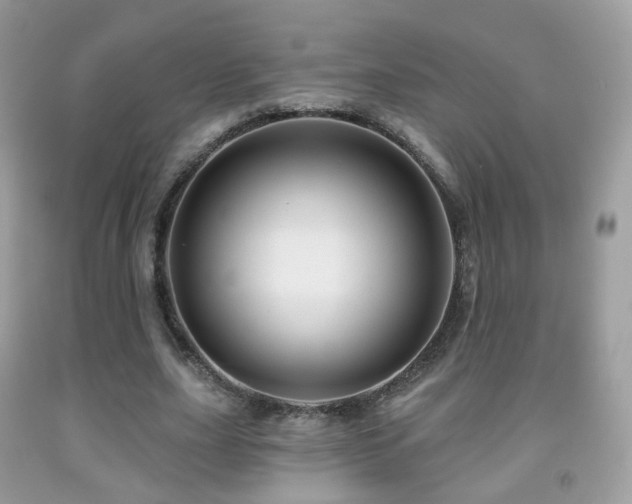 X0000091950631200709061241