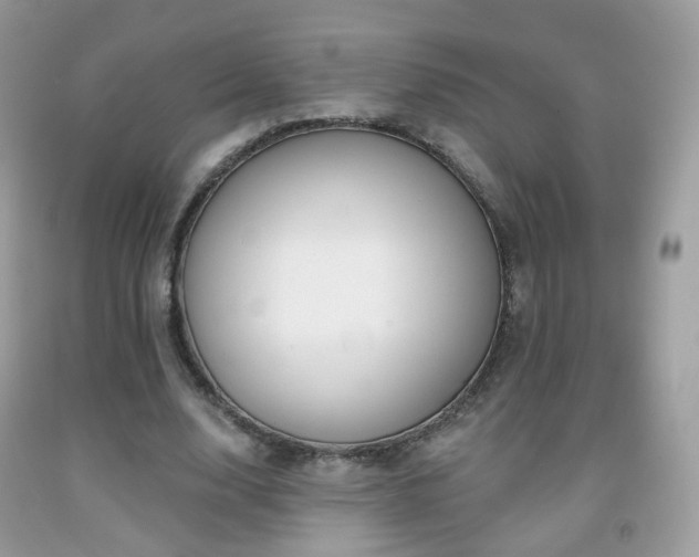 X0000091950632200709061241