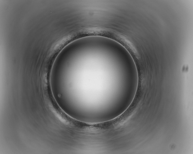 X0000091950633200709061241