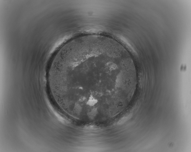 X0000091950634200709061241