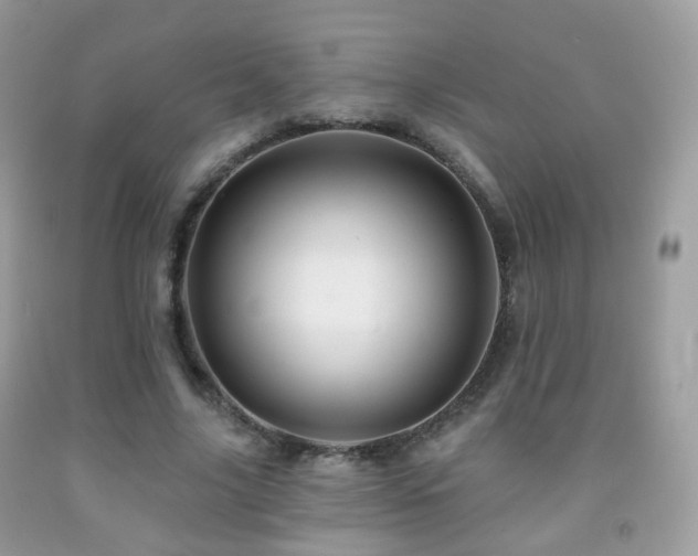 X0000091950635200709061241
