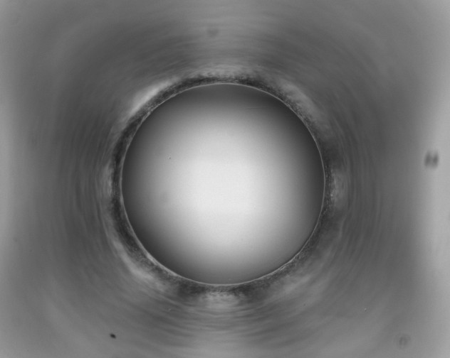 X0000091950636200709061241