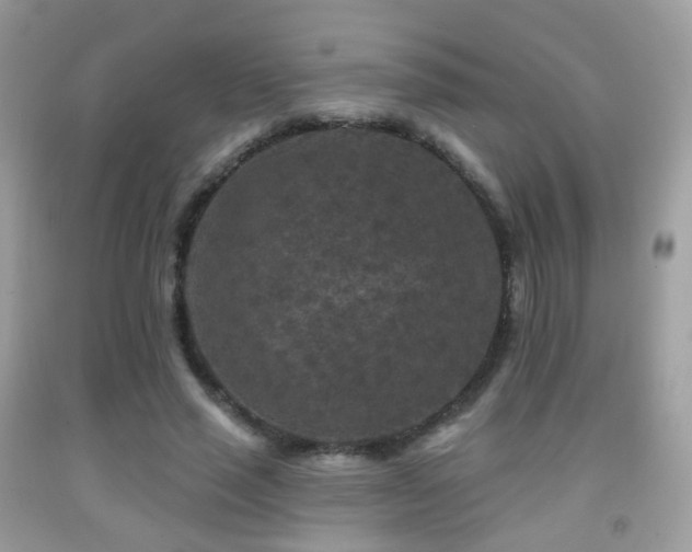 X0000091950637200709061241