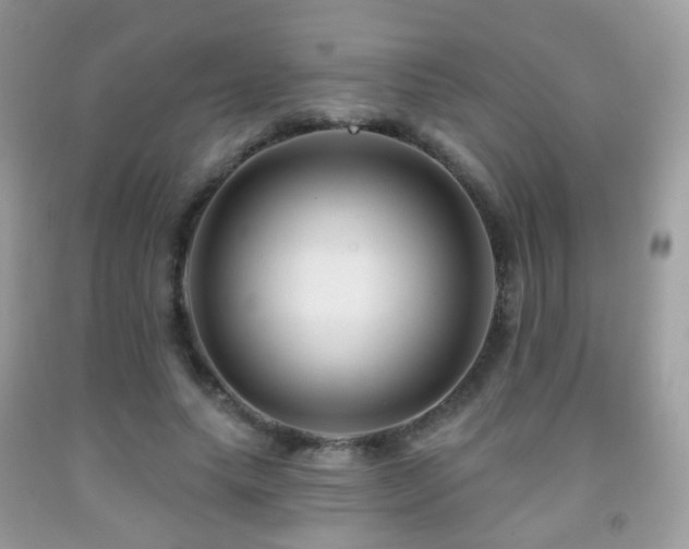 X0000091950639200709061241