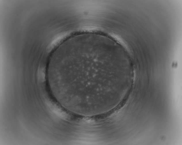X0000091950640200709061241