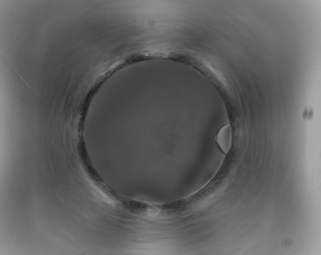 X0000091950641200709061241