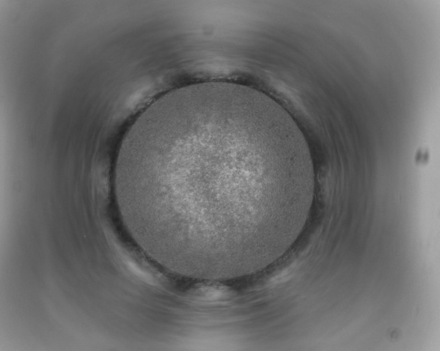 X0000091950642200709061241