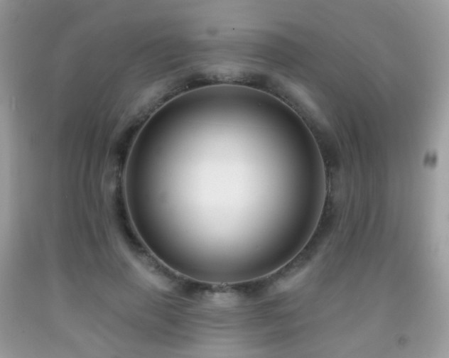 X0000091950645200709061241